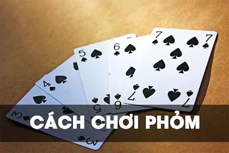 Hướng dẫn cách đánh bài phỏm