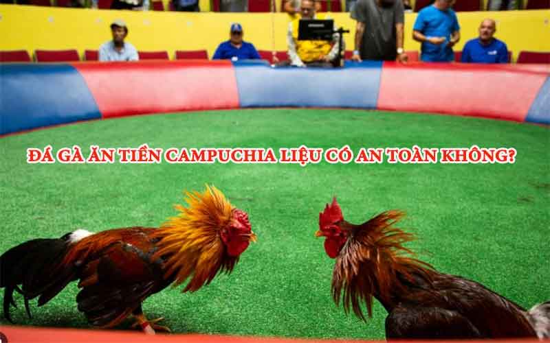 Chơi đá gà Campuchia ăn tiền có an toàn không