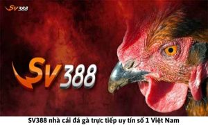 Đá gà SV388